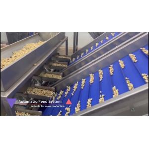 304 Stainless Steel Automatic Cashew Sorting Machine with AI Detection and