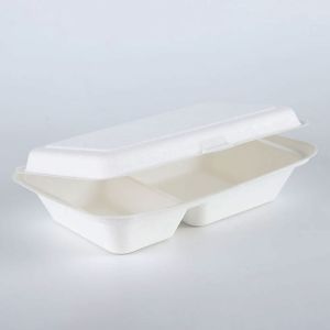 Container Eco-friendly Sugarcane Pulp Takeaway Food Packaging Box Alternative to