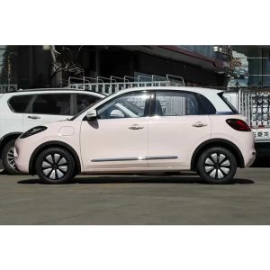 Wuling Motors 2024 Energy Vehicle Prices for Left Steering Lithium Ion Battery