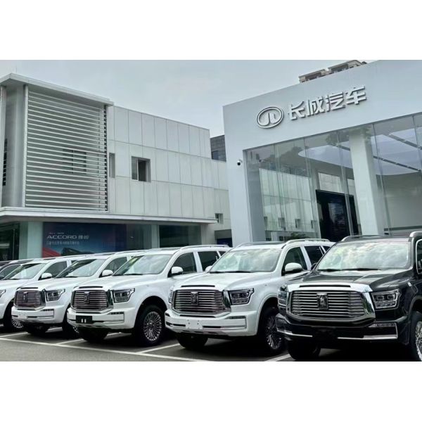 Gwm Tank 500 2024 Edition SUV Multi-function Steering Wheel and ESC for Hybrid Family Travel