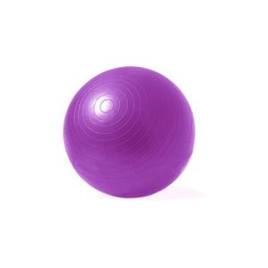 China Gym Fitness Workout Accessories Yoga Exercise Gym Ball on sale