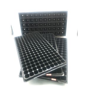 seedling tray --cheap price & high quality