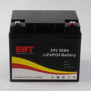 Industrial 24V Lithium Iron Phosphate Battery with 30A Maximum Continuous