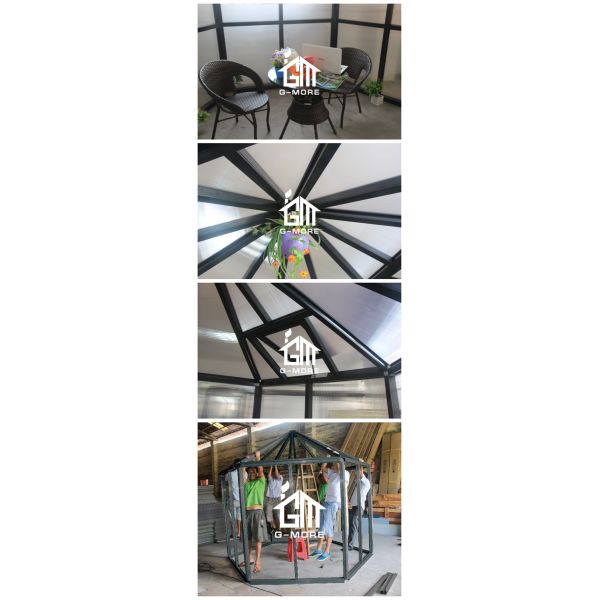 G-MORE Hexagon Greenhouse Application 2.jpg