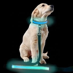China Custom Popular Large LED Dog Collar , Flashing Long Dog Leash For Pet Walk on sale