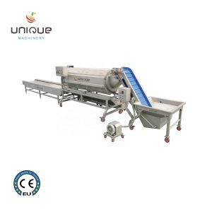 Automatic Electric Potato Peeler and Cutter Machine with 2021 Advanced