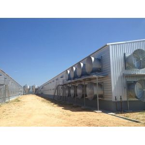 Automatic Steel Structure Poultry Farm Shed Design Modern Chicken House