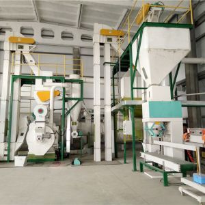 Biomass Pellet Making Machine , Complete Biomass Wood Press MiLL Machine