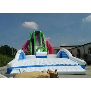 Quality Custom Exciting Flying Water Slide Inflatable PVC With Blower for sale