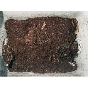 White Kitchen Garbage Composting Machine 470W Household 60HZ