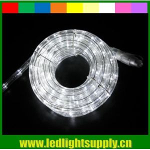 Navidad led rope flex lights 2 wire 1/2'' duralight 12/24v light controller