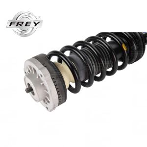 5 Series F18 Front Shock Absorber Assembly Practical 31316854579
