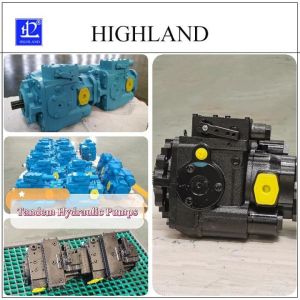 Customizable Tandem Hydraulic Pumps With Swash Plate Structure Design