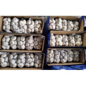 Natural Prepacks Fresh normal white garlic Pure White Garlic