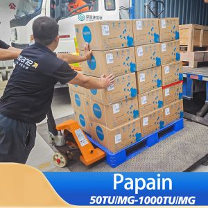 Quality papaya protease 50TU/MG-1000TU/MG Protease manufacturers customized product grades colony grades for sale