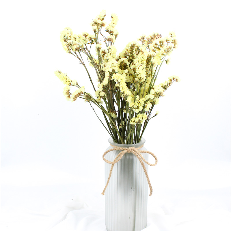 Fashion Style Beautiful Dried Flowers Statice Limonium Forget Me Not