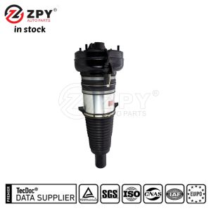 ZPY 95B616039H Front Shock Absorber Air Spring LR For Porsche Cayenne Turbo GT