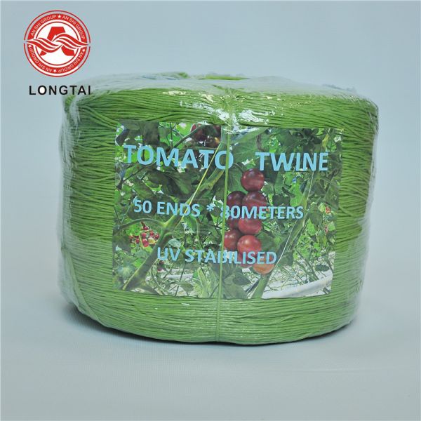 Buy Split Film 7500D Tomato Tying Twine 1200m/kg For Agriculture Packing Greenhouse Raffia at wholesale prices