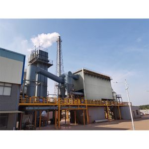 Disposal Sludge Incineration Plant Combustion Treatment Pumping Feeding Type