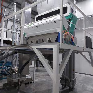 Macadamia Nut Hazelnut Color Sorter Machine And Hazelnut Color Separator Machine