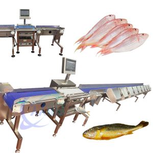 High Precise Live Fish Sorting Machine Live Fish Sorting Equipment Tilapia