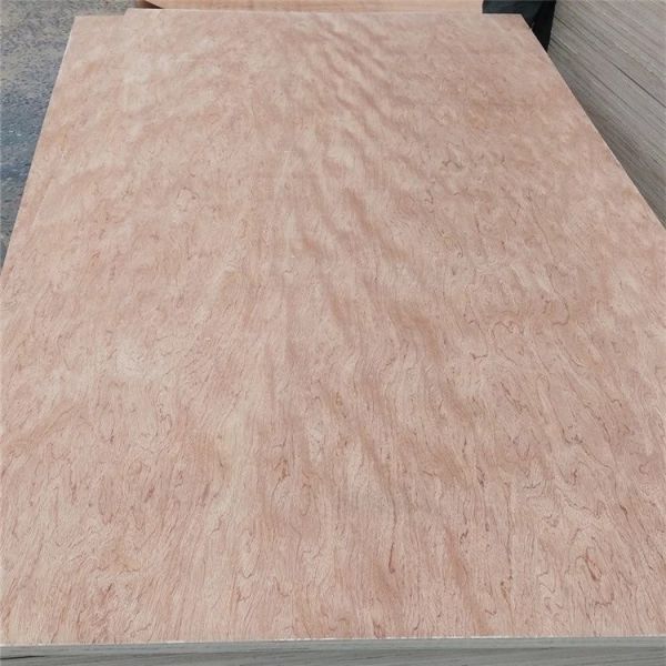 Buy 25mm Bintangor Commercial Grade Plywood E1 Glue Poplar Core For Exterior Decoration at wholesale prices