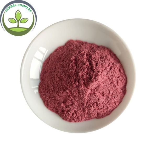 Buy Wholesale Instant Powder Drink  Dried Waxberry In Bulk at wholesale prices