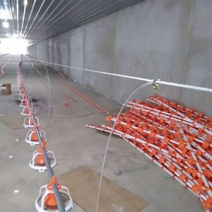 Portable Galvanized 450kg Chain Feeder System Poultry