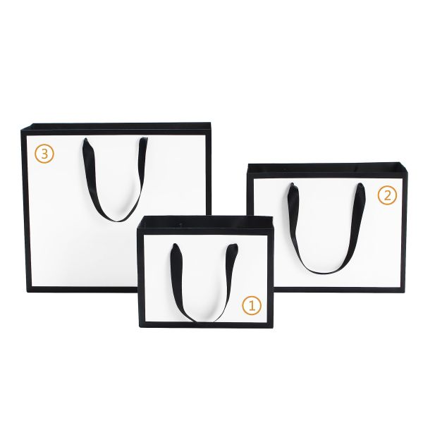 Custom Logo Popular Boutique Shopping Paper Bag in Gravure Print Design for Shoes