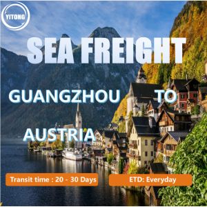 China DDP Logistics From Guangzhou China To  Austria With Seafreight on sale