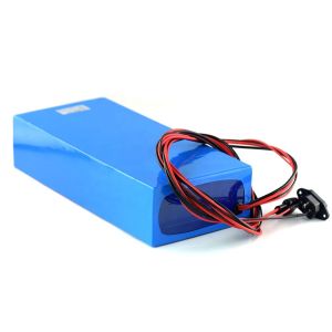 OEM Rechargeable Lithium Ion Battery Packs 48V 20Ah 30Ah 40Ah
