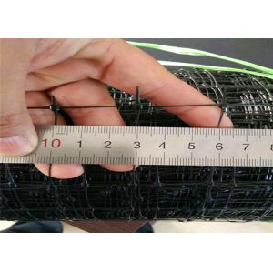 Heavy Duty Black Anti Bird Net For Trees Repel Pigeon Attacks Available