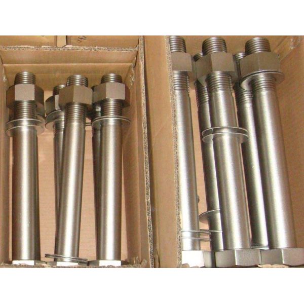 A2 NPT Stainless Steel Bolts for Various Industrial Applications DIN934 M10