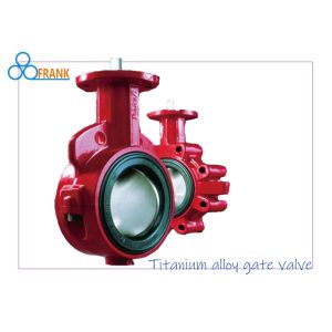 Self cleaning 200 PSI DNV 2˝ Industrial Metal Valves
