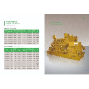 Direct Supply 190 Series 500GF-Tk1 Gas Generator with Online Services After