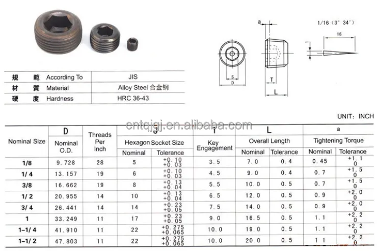 Zinc Coated Pipe Plug for Pipe Systems DIN906 Hexagon Socket Design Made of Stainless Steel and Titanium