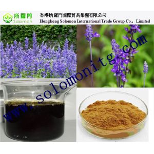 salvia sclarea extract China manufacturer --Salvia Miltiorrhizae bge extract