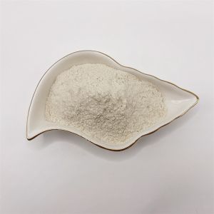 PH7 - 9 Natural Polymer Agriculture Chitosan Raw Material For Seed Soaking