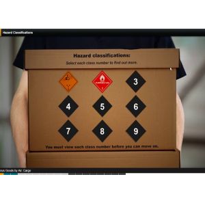 Logistics Dangerous Goods Air Freight / Dangerous Goods Freight Forwarding