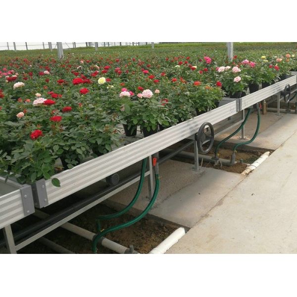 4x8feet Movable Ebb And Flood Rolling Bench Table Abs Tray In Greenhouse