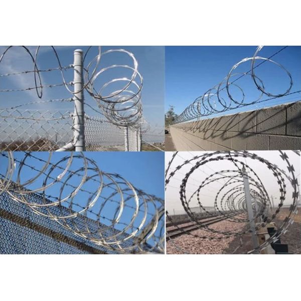 Single Coil Concertina Razor Wire Diameter 450mm Barbed Wire CBT-65