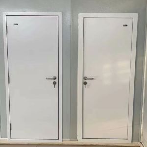 China Tempered Insulating Glass Steel Entry Doors Customizable Anti Theft on sale