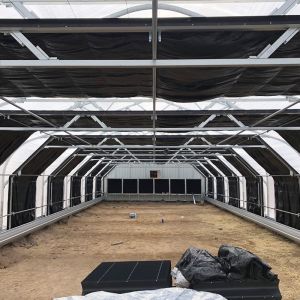 Fully Light Deprivation Greenhouse with Blackout Film and Customized Hot