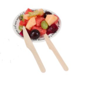 Custom 16cm Disposable Wooden Utensils Biodegradable Cutlery Knives