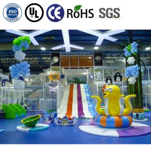 Custom Theme Kids Indoor Playground Equipment with Stainless Steel Material and