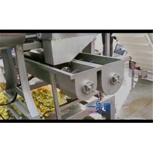 1.5T/H SUS304 Pineapple Crusher Pulping Juicing Machine