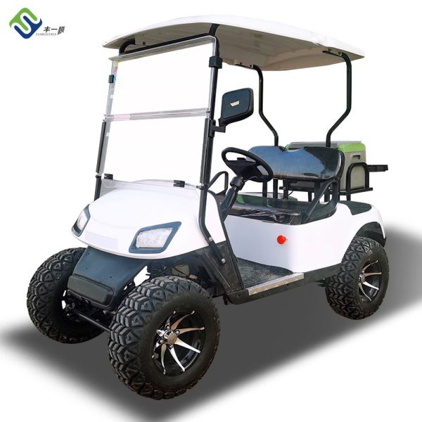 Buy Custom Power Steering EV Golf Cart Electric Powered Vehicle 20mph at wholesale prices