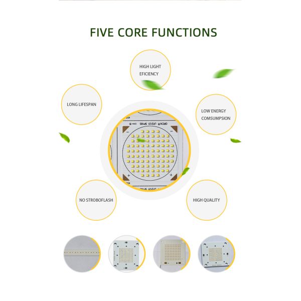 CSP Blackboard RA 95 6500K 2800lm Full Spectrum T8 Bulbs