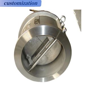 Stainless Steel 304 316 Steel Dual Plate Check Valve with Customizable Port Size