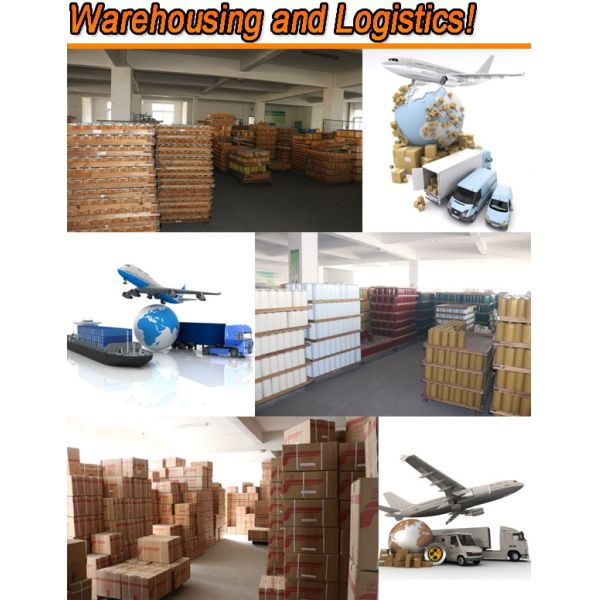 LR001313 190183 H346WK Car Engine Filter , OEM ODM Land Rover Fuel Filter